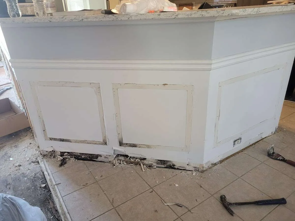 Water damage and mold on kitchen during Sewage Cleanup & Sanitation in Mount Dora